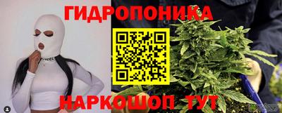 spice Аша